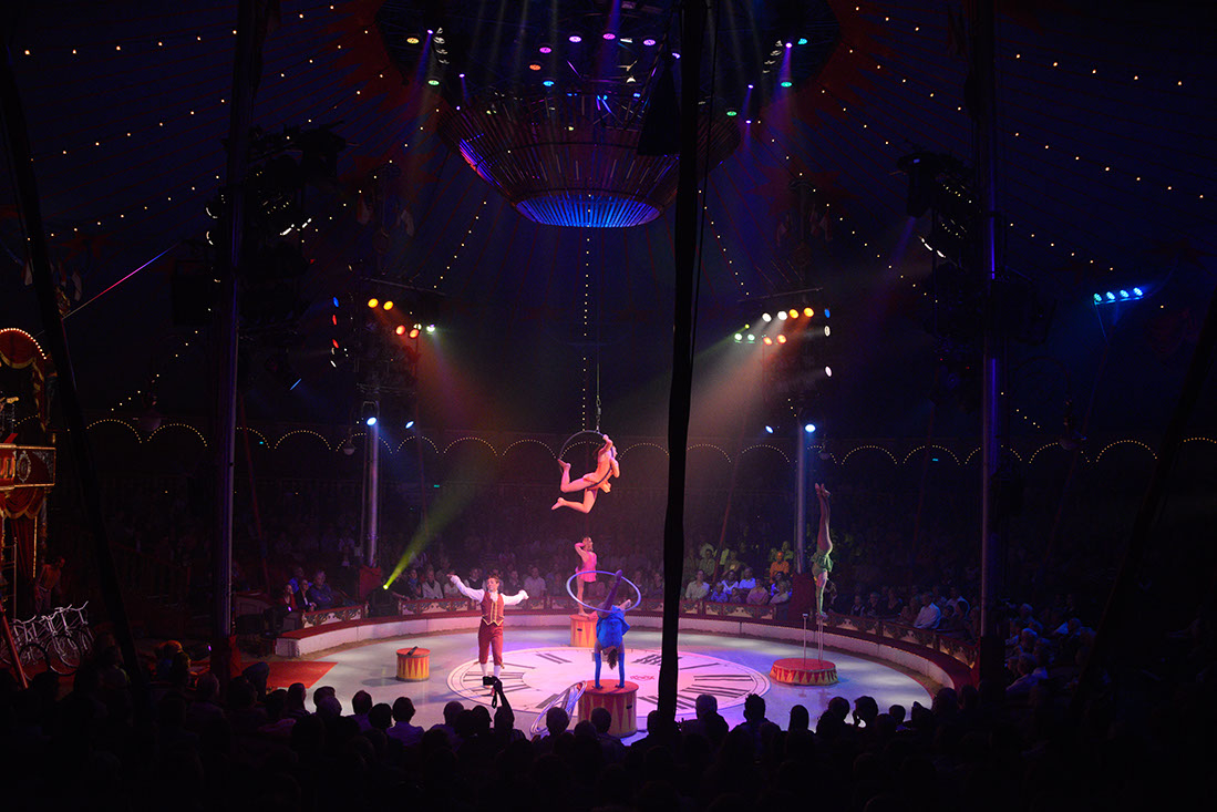 Roncalli-129370-120830-cMahramzadeh