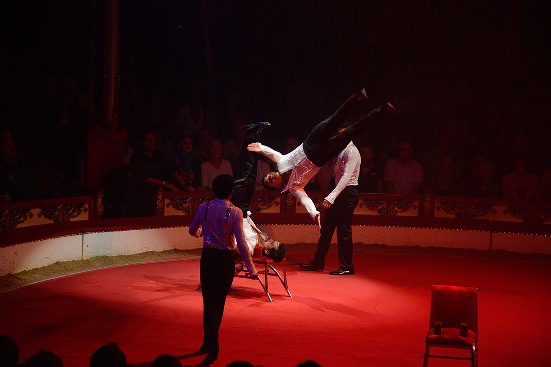 Roncalli-130285-120830-cMahramzadeh