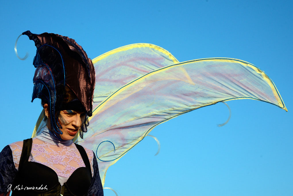 FW-England-138460-120908-cMahramzadeh