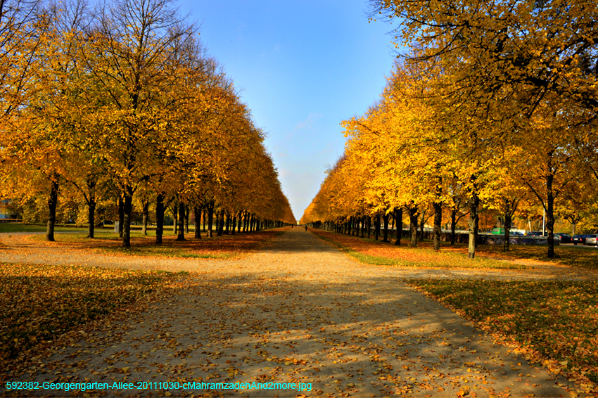 592382-Georgengarten-Allee-20111030-cMahramzadehAnd2more