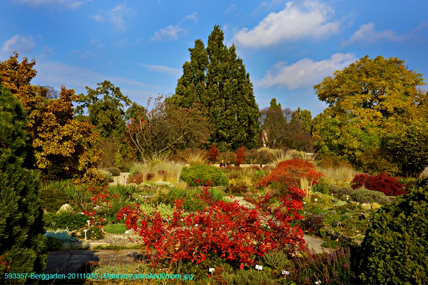 593357-Berggarten-20111030-cMahramzadehAnd2more