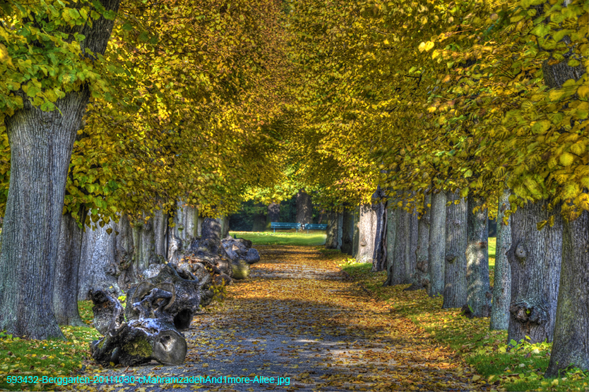 593432-Berggarten-20111030-cMahramzadehAnd1more-Allee