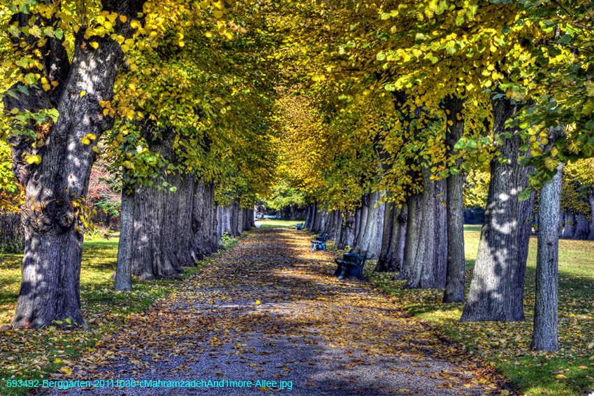 593492-Berggarten-20111030-cMahramzadehAnd1more-Allee