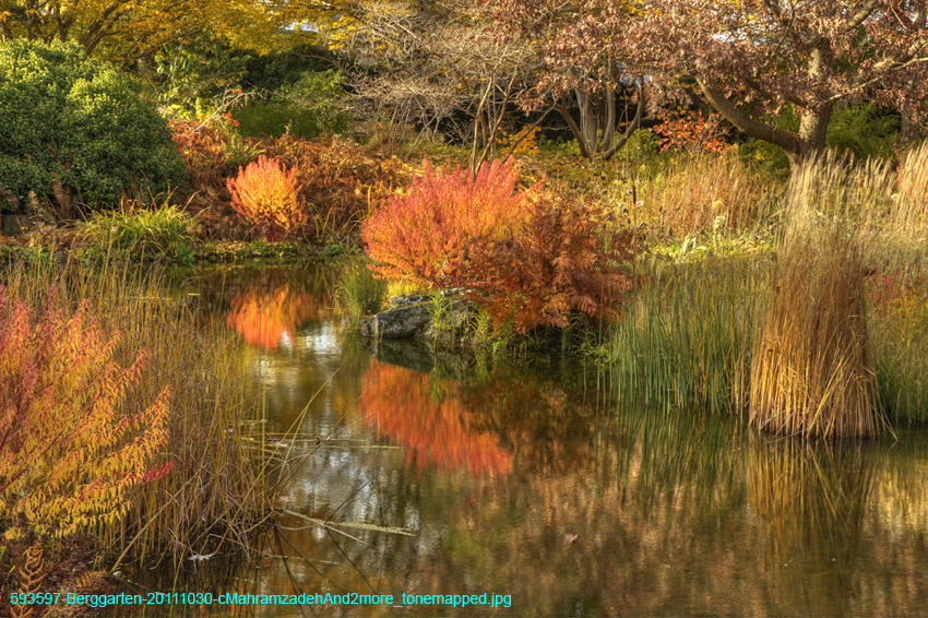 593597-Berggarten-20111030-cMahramzadehAnd2more_tonemapped