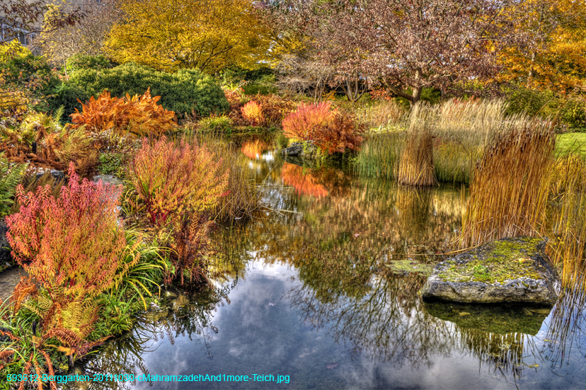 593612-Berggarten-20111030-cMahramzadehAnd1more-Teich