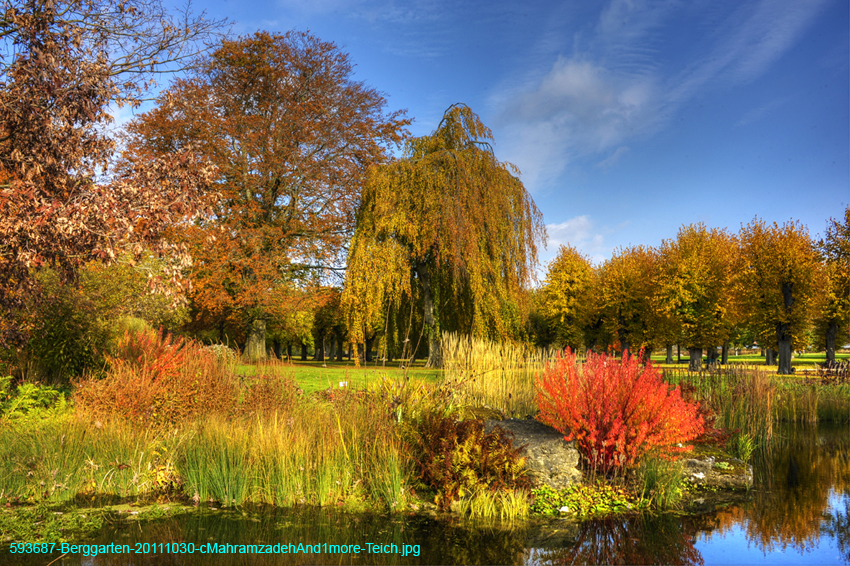 593687-Berggarten-20111030-cMahramzadehAnd1more-Teich