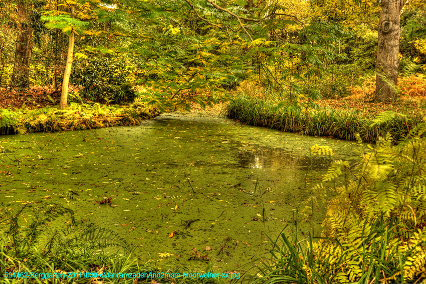 594162-Berggarten-20111030-cMahramzadehAnd2more-Moorweiher-xx