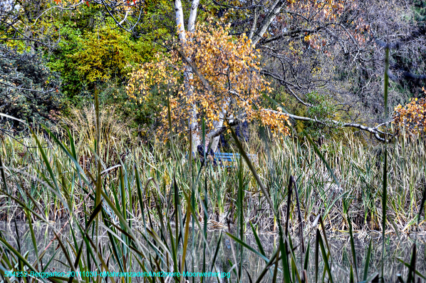 594252-Berggarten-20111030-cMahramzadehAnd2more-Moorweiher