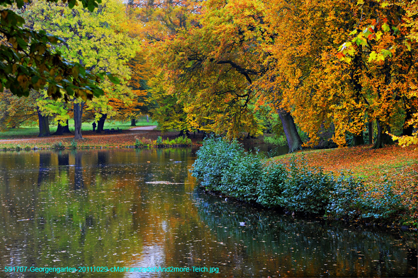 591707-Georgengarten-20111029-cMahramzadehAnd2more-Teich
