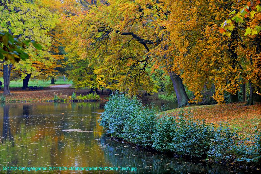 591722-Georgengarten-20111029-cMahramzadehAnd2more-Teich