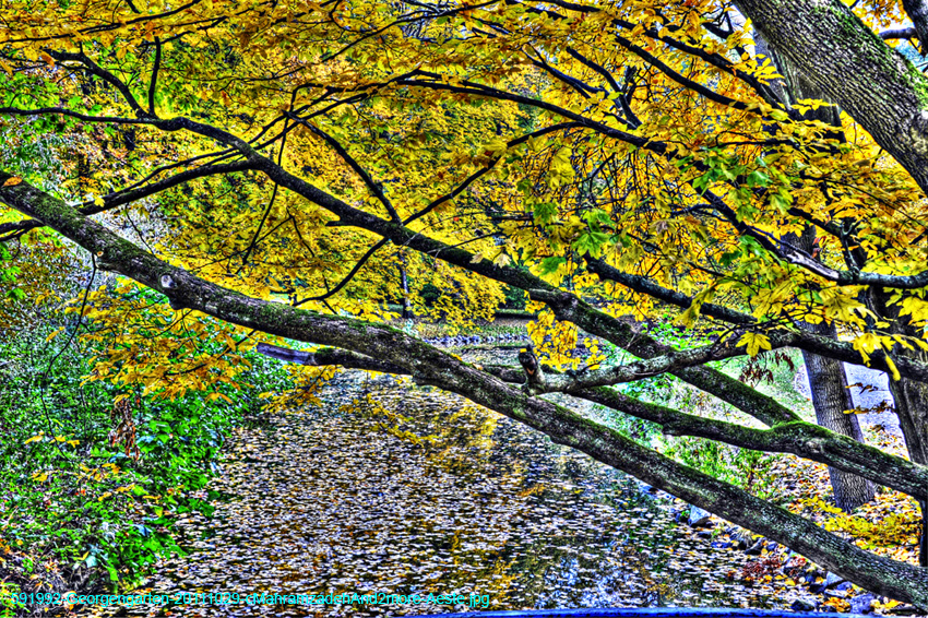 591992-Georgengarten-20111029-cMahramzadehAnd2more-Aeste