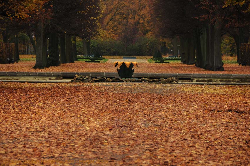Herbst-2009-Grosser-Garten-1338