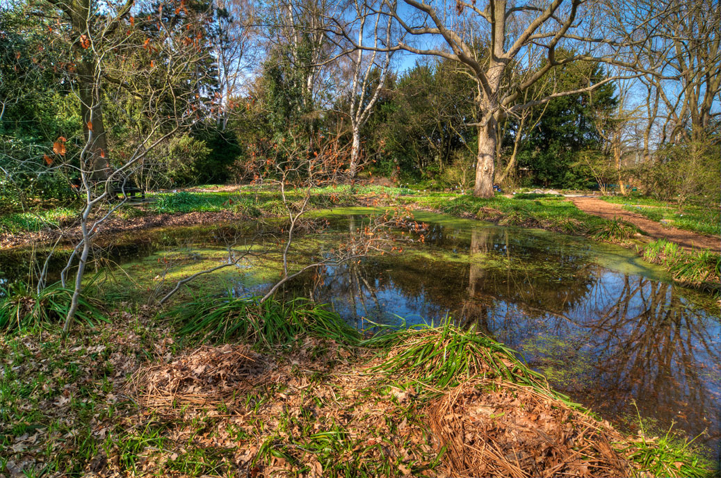 Berggarten-3820-HDR-Mahramzadeh
