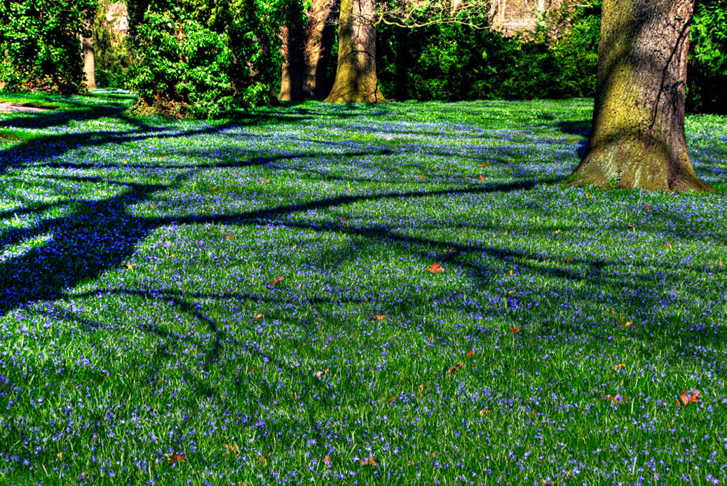 Berggarten-HDR-2642-Mahramzadeh