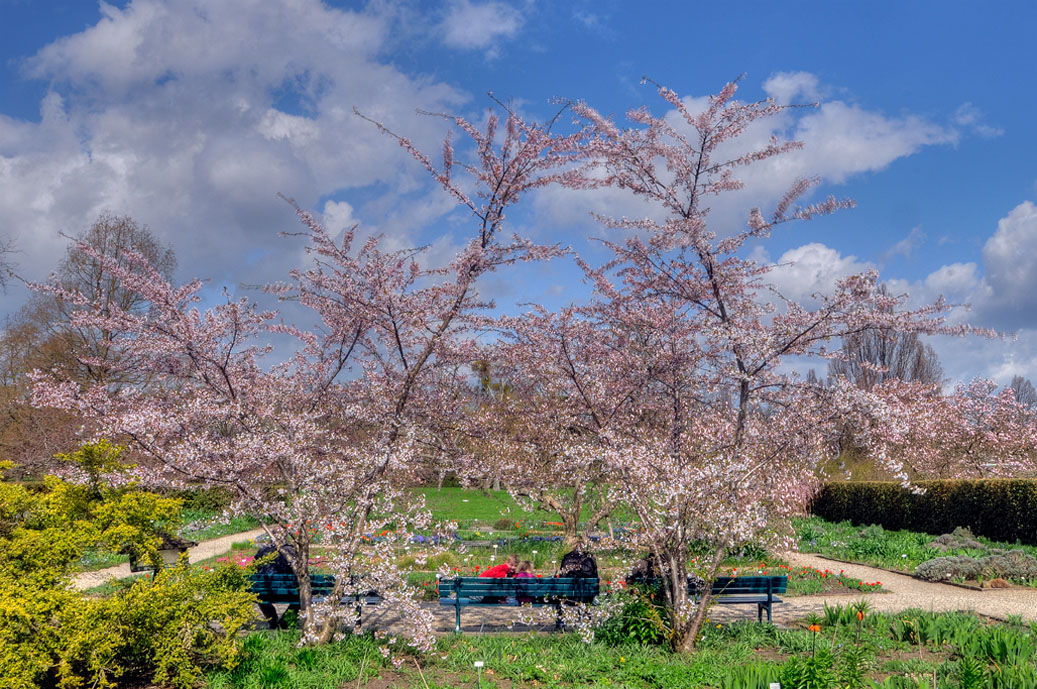Berggarten-HDR-4248-Mahramzadeh