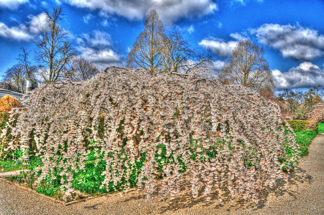 Berggarten-Mahramzadeh-4421-HDR-Grung