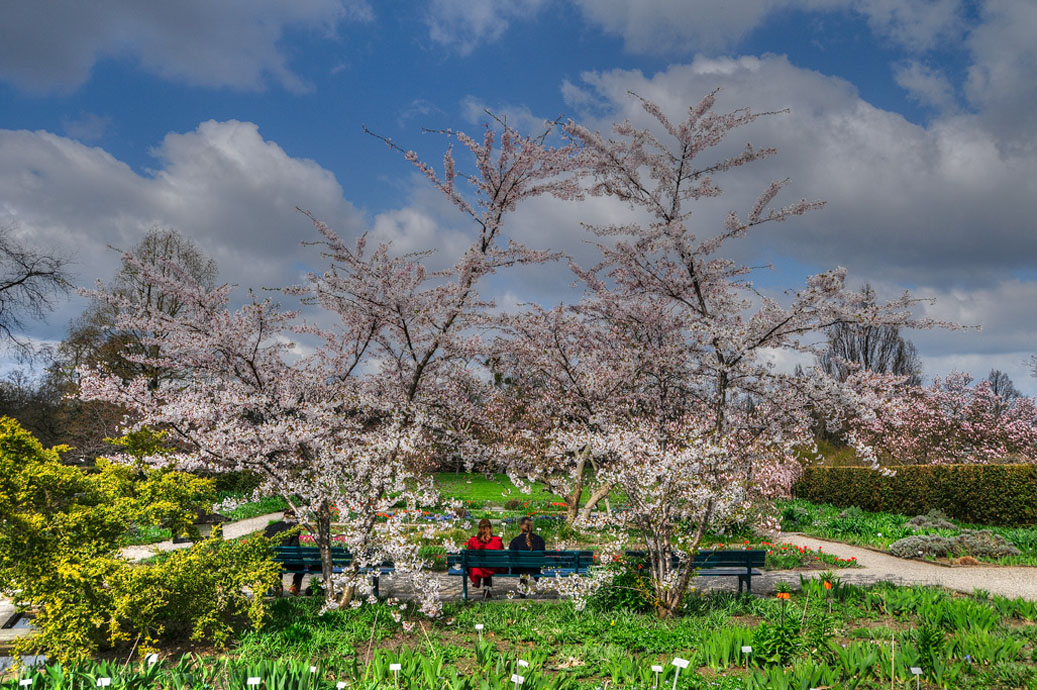 Berggarten-Mahramzadeh-4508-HDR