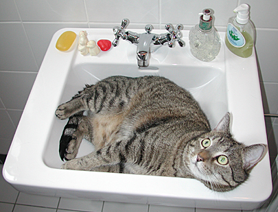 Bild ohne Optimierung