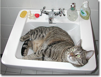 strong>Bild mit Schatten