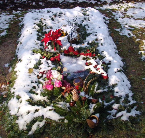 Eis und Schnee auf Juttas Grab am 27. November 2005