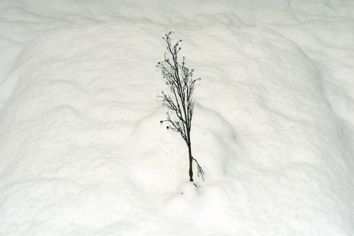 Das mit Schnee zugedeckte Grab am 18. Dezember 2005