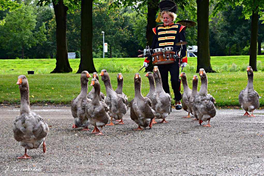 KF-46200-120713-cMahramzadeh