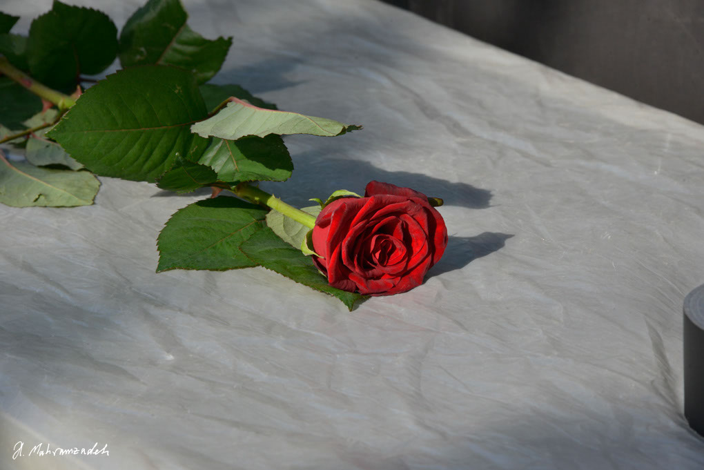 KF-49800-120714-cMahramzadeh