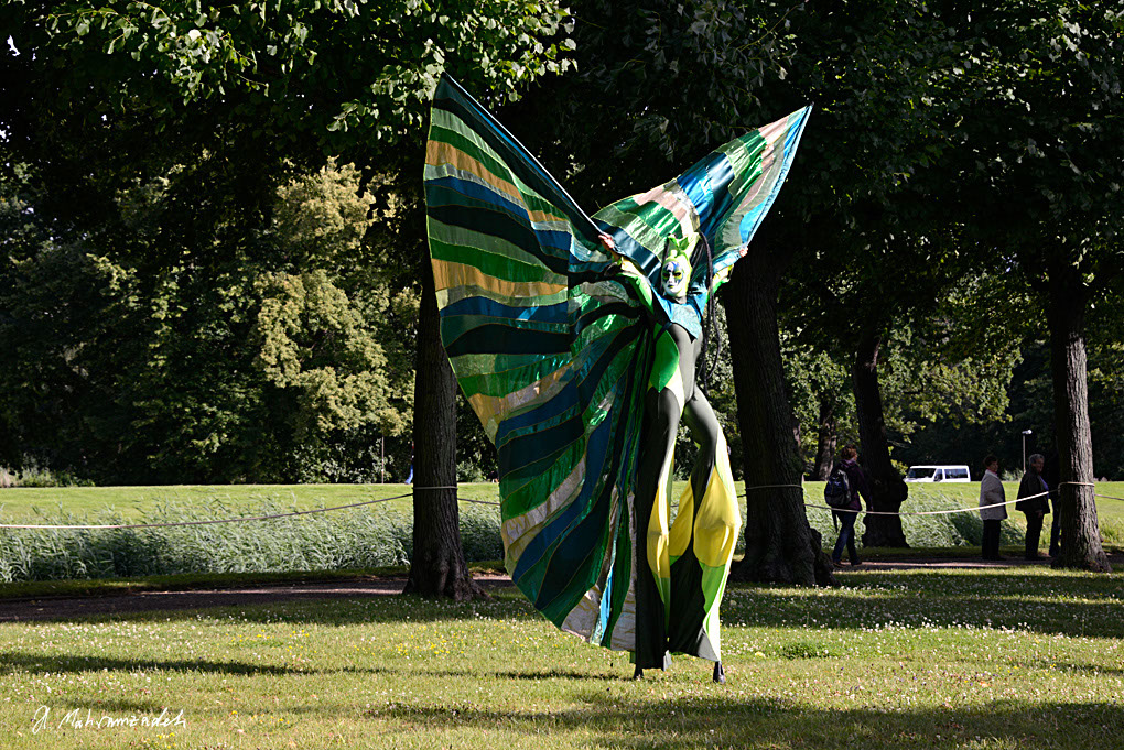 KF-62510-120719-cMahramzadeh