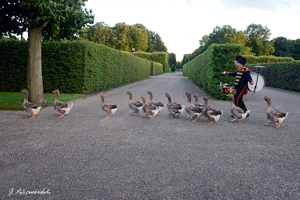 KF-65130-120719-cMahramzadeh