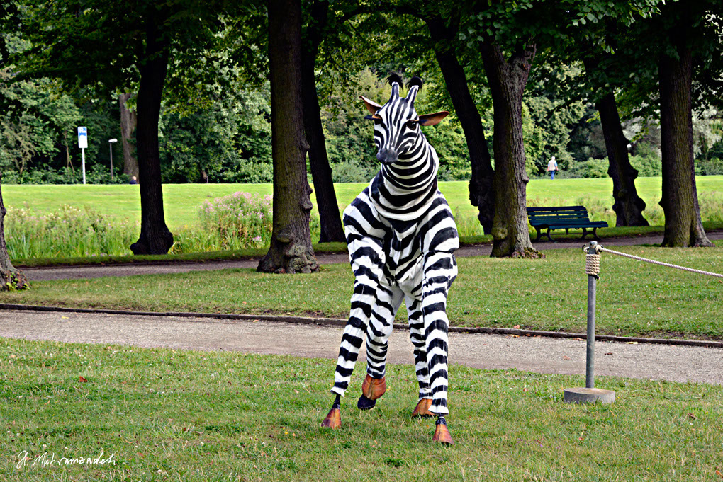 KF-67510-120720-cMahramzadeh