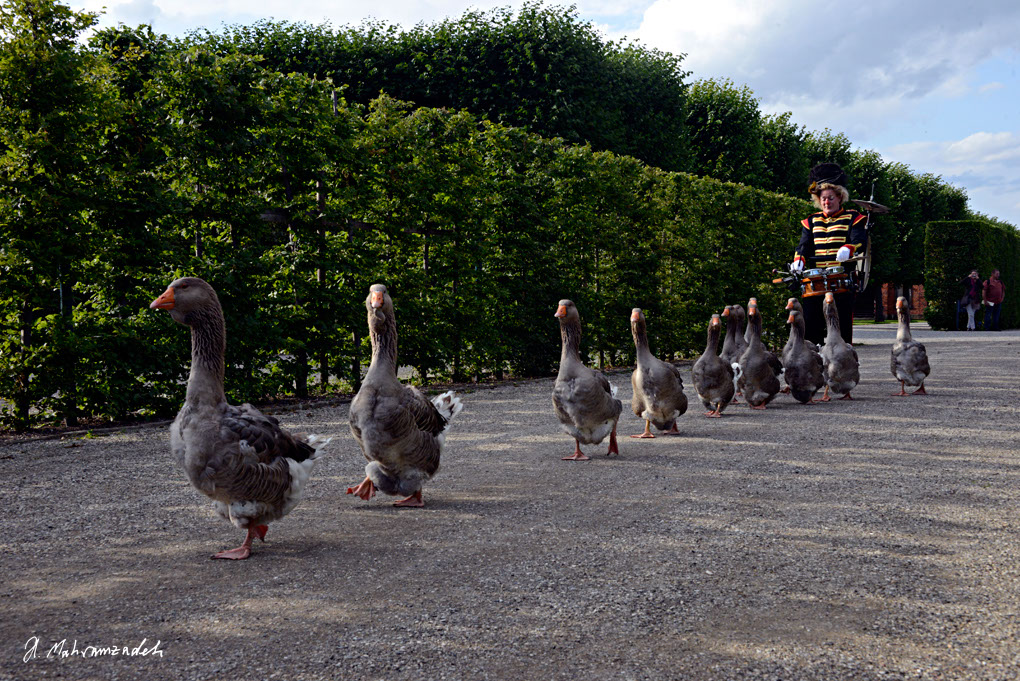 KF-68275-120720-cMahramzadeh