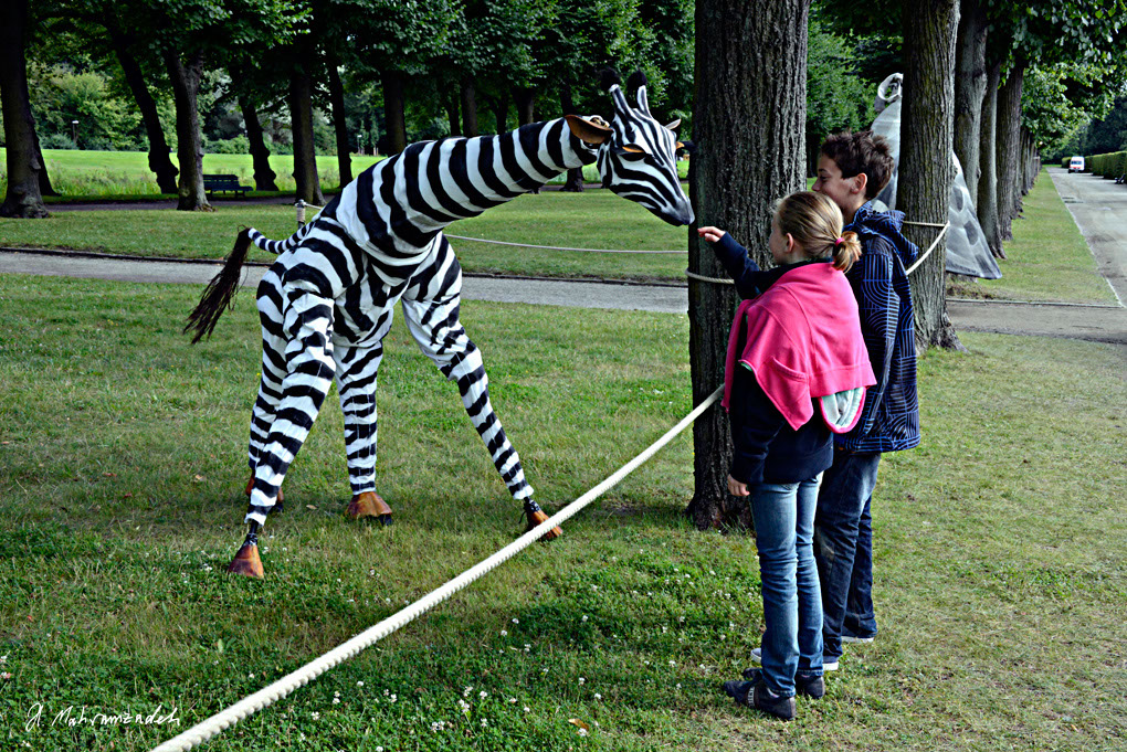 KF-67535-120720-cMahramzadeh