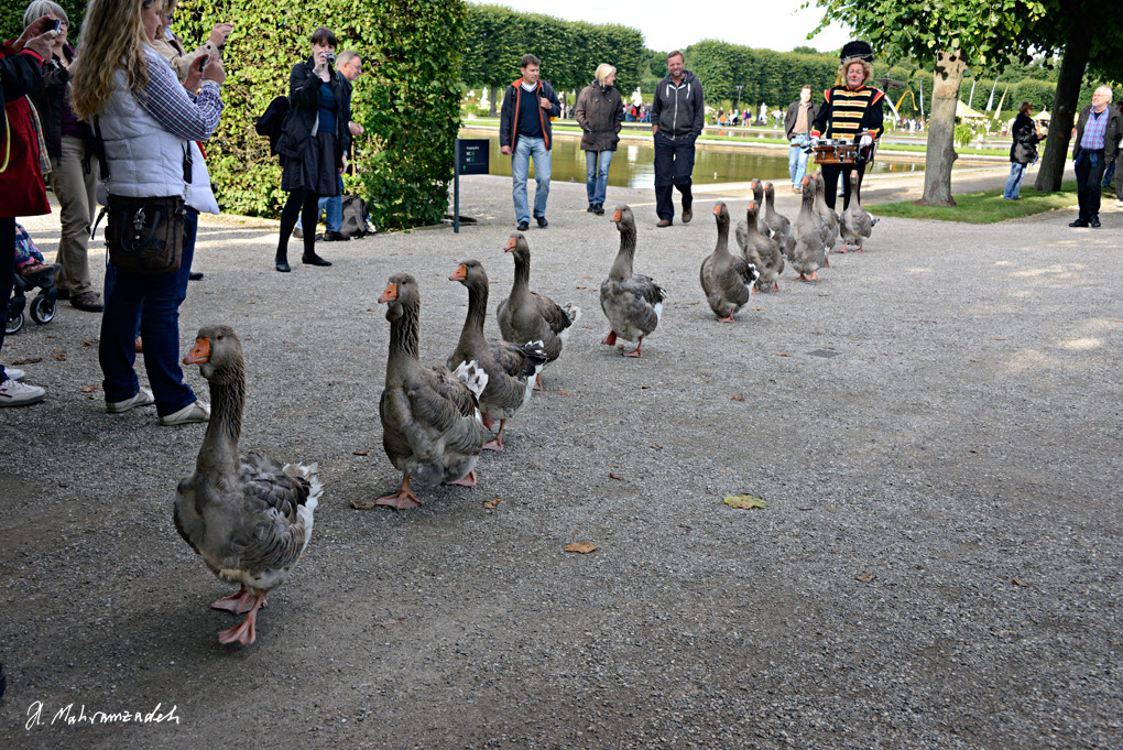 KF-68370-120720-cMahramzadeh