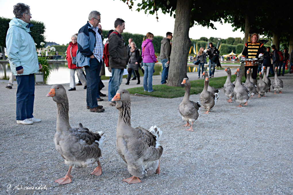 KF-77780-120721-cMahramzadeh