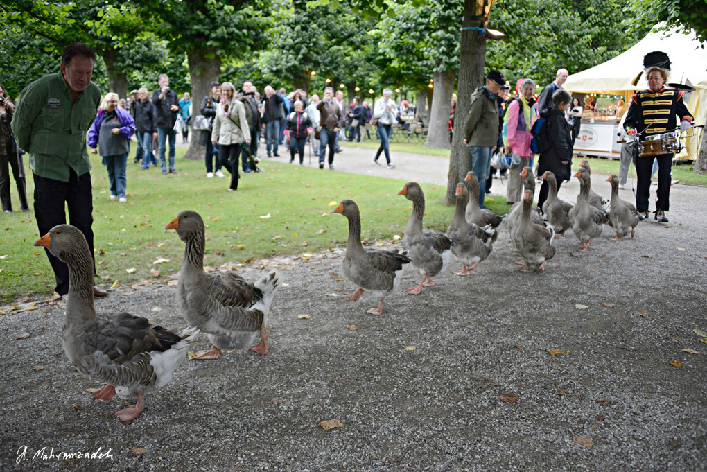 KF-74525-120721-cMahramzadeh