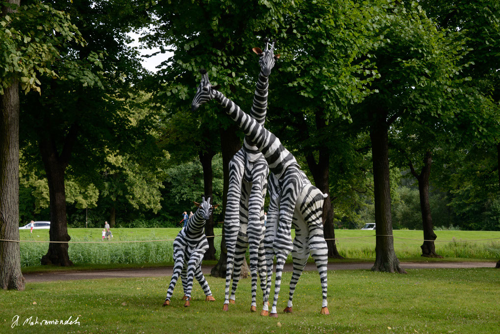 KF-72745-120721-cMahramzadeh