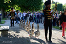 KF-79430-120722-cMahramzadeh