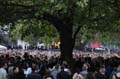 Lena-Public-Viewing-1475-Mahramzadeh