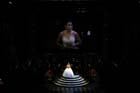 Opernball-650682-20120225-cMahramzadeh
