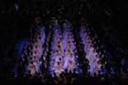 Opernball-651167-20120225-cMahramzadeh