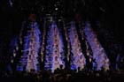 Opernball-651237-20120225-cMahramzadeh